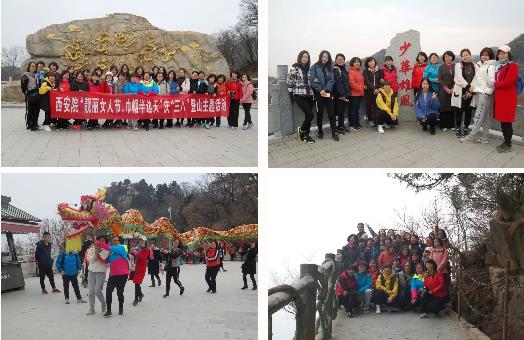 365速发国际(中国)官方网站