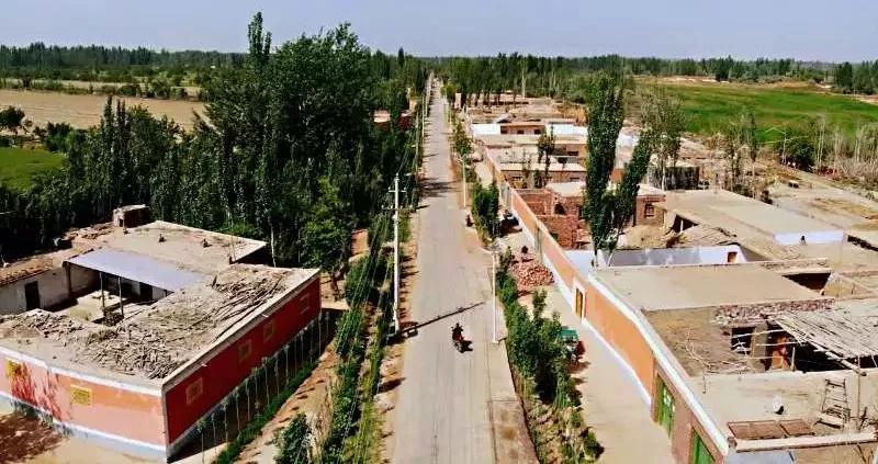 365速发国际(中国)官方网站