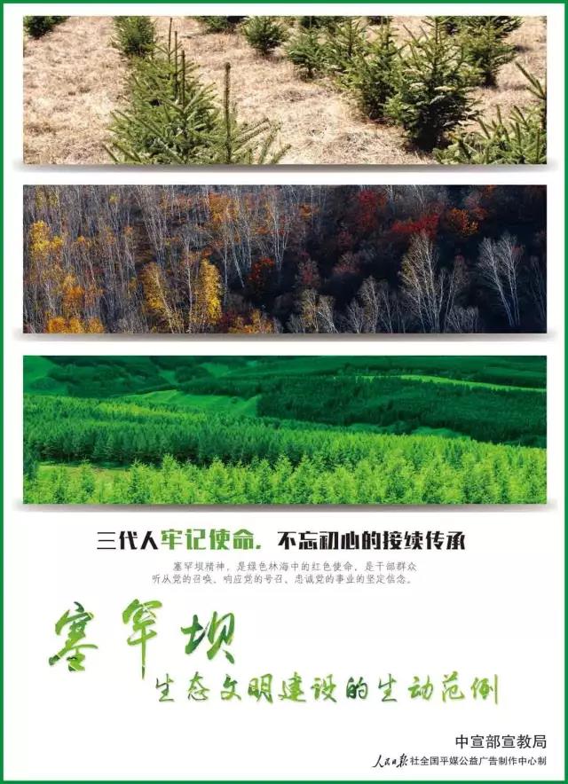 365速发国际(中国)官方网站