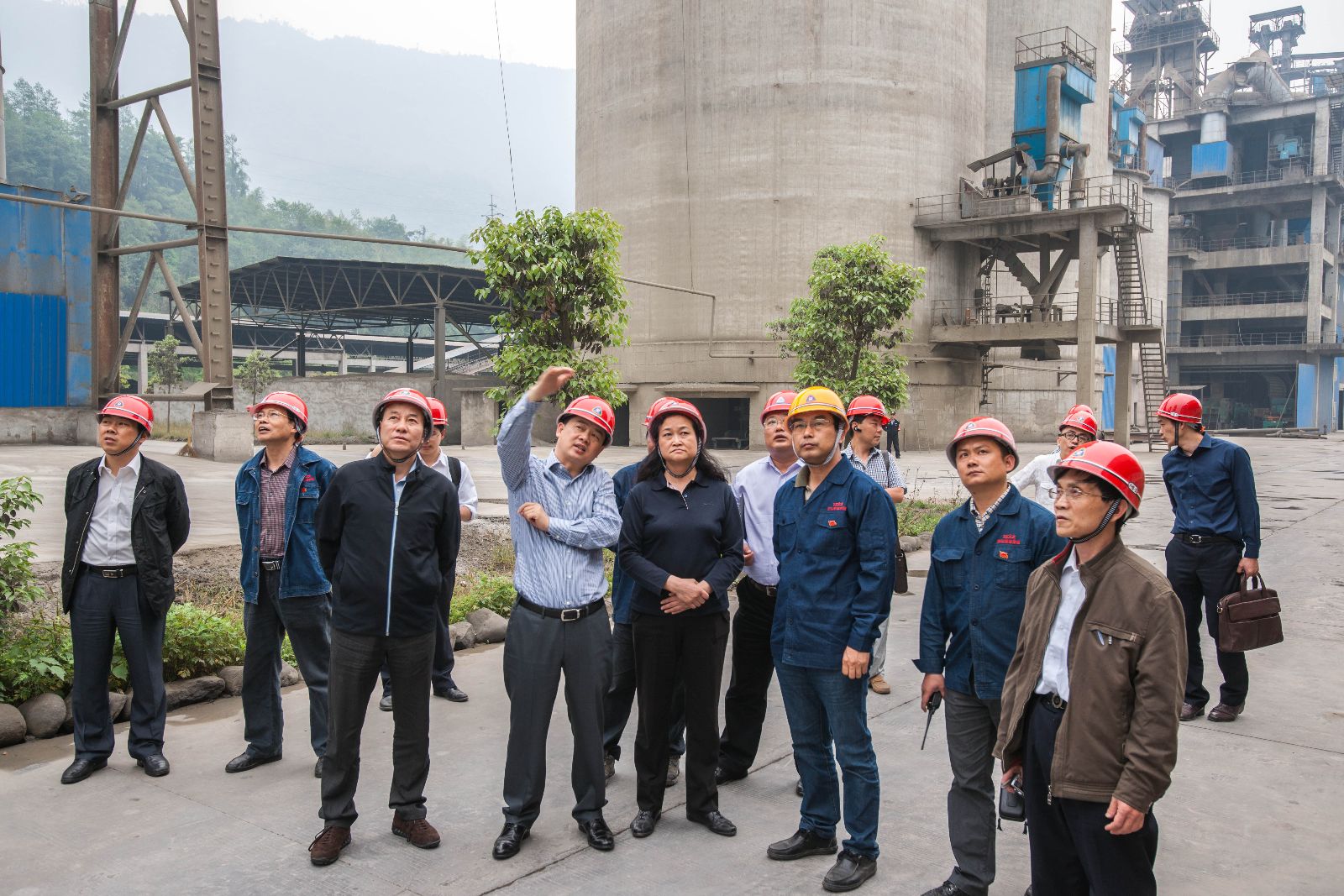 365速发国际(中国)官方网站