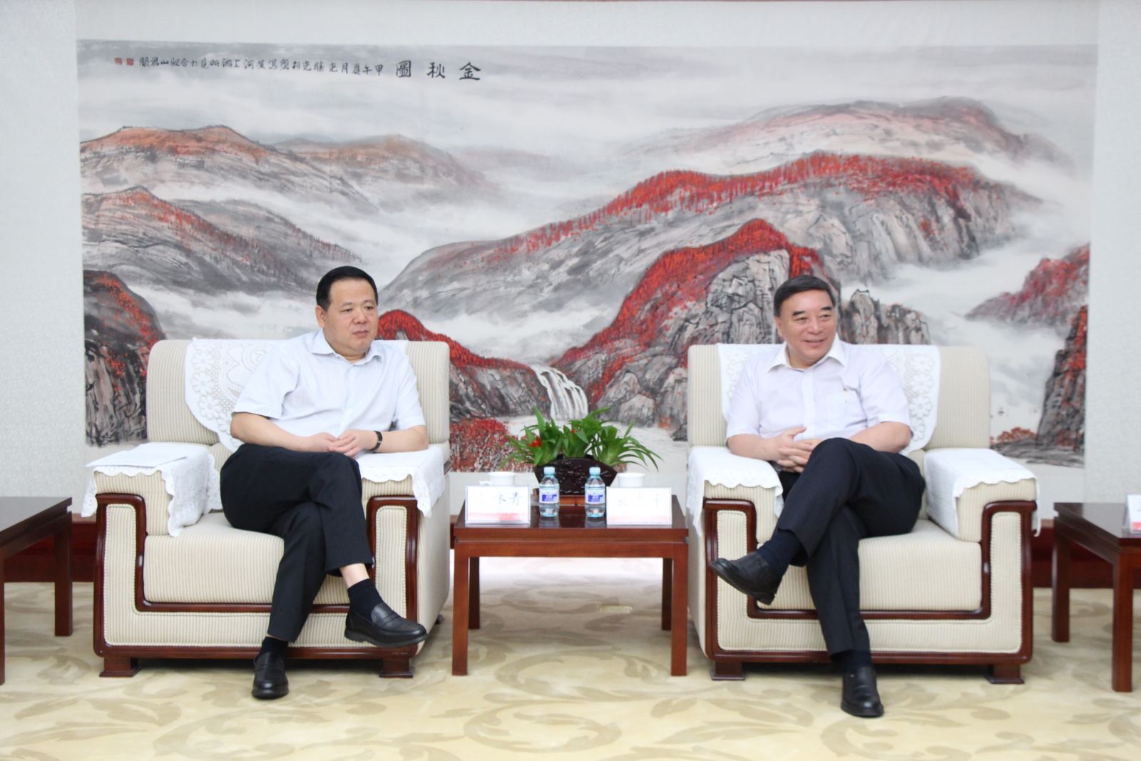 365速发国际(中国)官方网站