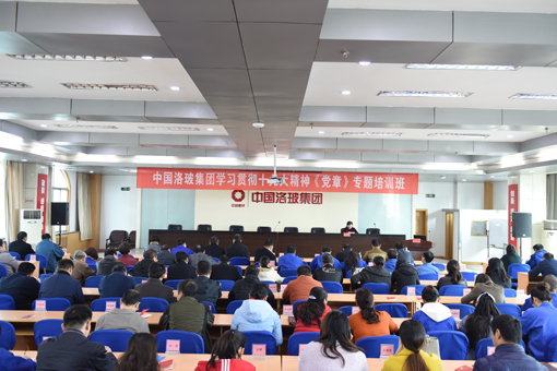 365速发国际(中国)官方网站