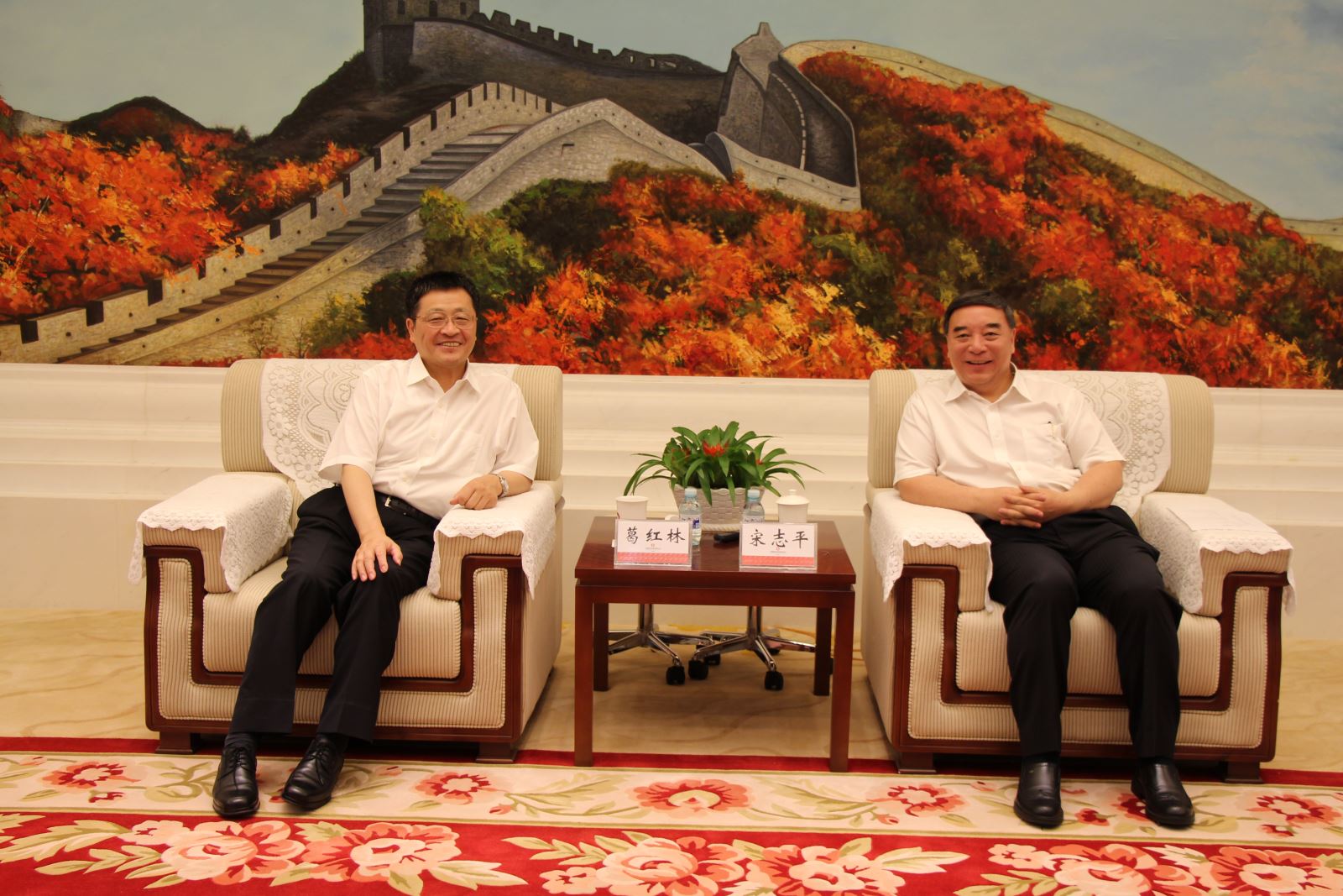365速发国际(中国)官方网站